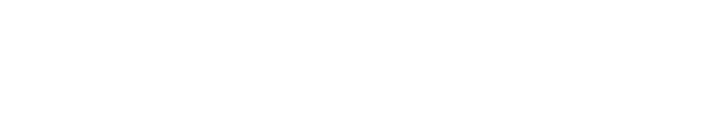 Katsviis